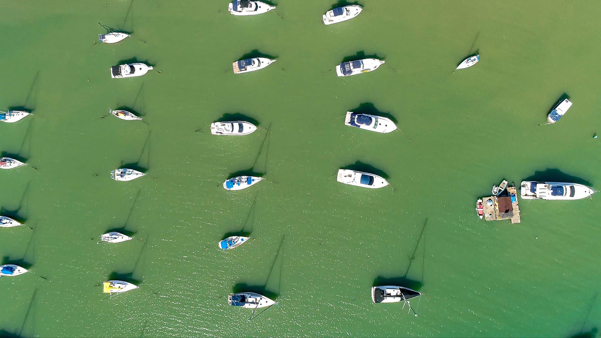 Barcos em Porto Belo
